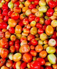 Vegetables are so fresh and healthy for life 