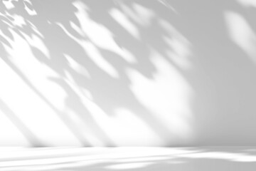 shadow overlay effects of realistic window and tree branch shadow with light blur on transparent...