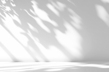 shadow overlay effects of realistic window and tree branch shadow with light blur on transparent background,Summer sunlight and shadow overlay effect