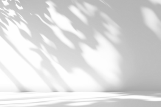 shadow overlay effects of realistic window and tree branch shadow with light blur on transparent background,Summer sunlight and shadow overlay effect