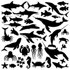 Black silhouette collection of diverse marine life including fish, sharks, octopuses, and seaweed on a white background, arranged in a dense pattern for aquatic-themed designs or illustrations.