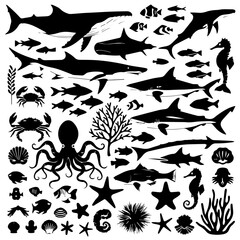 Black silhouette collection of diverse marine life including fish, sharks, octopuses, and seaweed on a white background, arranged in a dense pattern for aquatic-themed designs or illustrations.