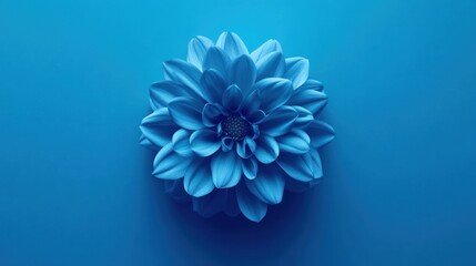 Monochromatic Blue Dahlia Bloom Artistically Displayed on a Solid Blue Background