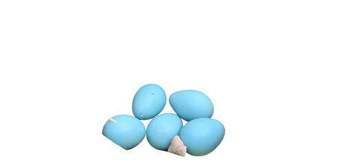 Common Myna Eggs in The Nest PNG Isolated on White background