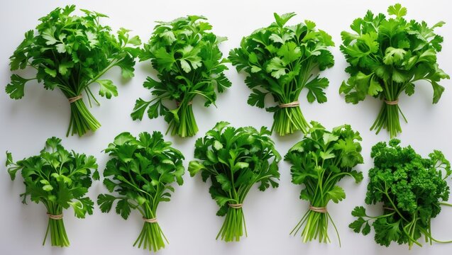 Collection of Fresh parsley on backdrop.
