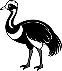 ostrich cartoon isolated on white background