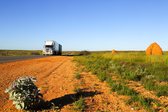 A semi trailer driving on bitumen road past a termite mound