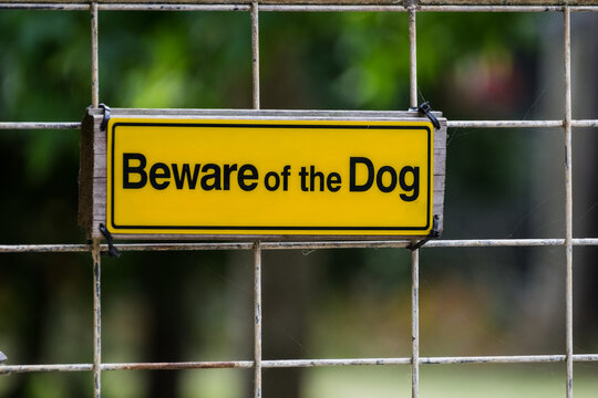 Beware of the dog