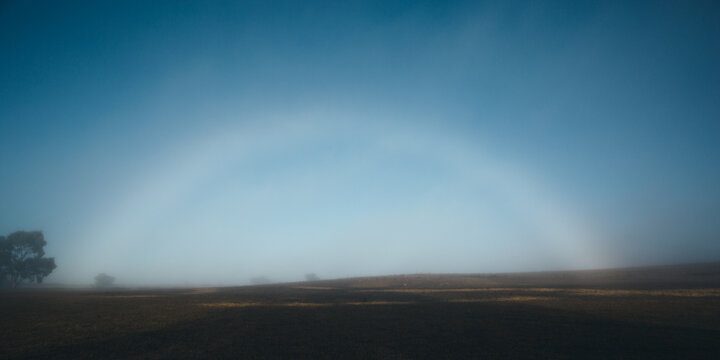 View across a paddock on a misty morning with a rainbow effect