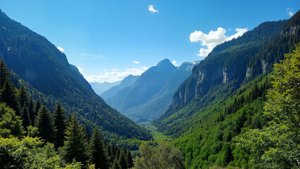 Fototapeta premium Green valley landscape with coniferous trees. Suitable for nature, travel, and national park themes in visual projects.