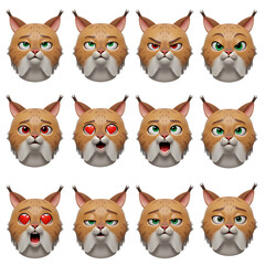 Cartoon lynx faces with various expressions set on transparent background