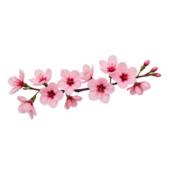 Naklejka premium Delicate pink cherry blossoms with vibrant red centers, showcasing nature beauty and elegance. Perfect for spring themes and floral designs