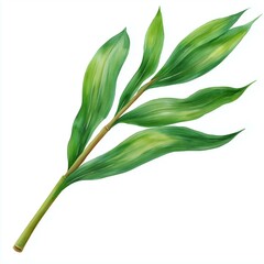 Vibrant green leaves showcasing natural beauty and elegance in botanical art.