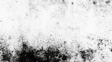 Obraz premium Abstract texture of black and white with a distressed appearance and organic patterns