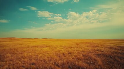 Obraz premium Flat plain field stretching to the horizon in a desert region