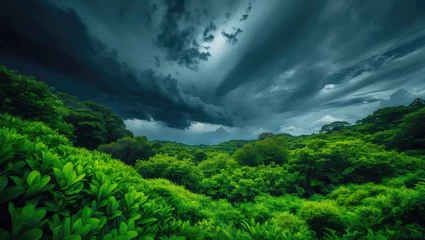 Selbstklebende Fototapeten Lush landscape set against a striking sky ©  AugmentArt