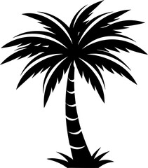Obraz premium silhouette of palm tree
