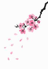 A delicate sakura branch painted with elegant brushwork, petals drifting in the wind, embodying beauty and impermanence in Japanese culture © Purnomo