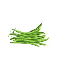 This image is a digital illustration of a bunch of green beans. 
