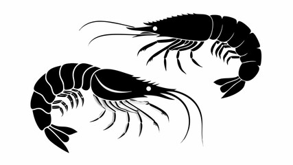 Two black shrimp silhouettes with detailed legs and antennae on a white background illustration art editable vector eps/eps