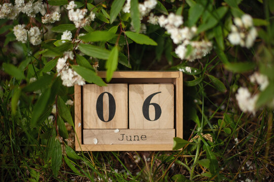 June 6, World Pest Day , wooden calendar blocks outdoors on green showing the date 6th June with copy space, National Day of Sweden, Russian Language Day, Korean Memorial Day, Gardening Exercise