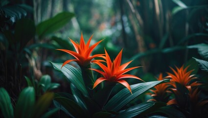 Understanding Bromeliaceae: A Diverse Family of Monocot Flowering Plants with 80 Genera and 3700 Species