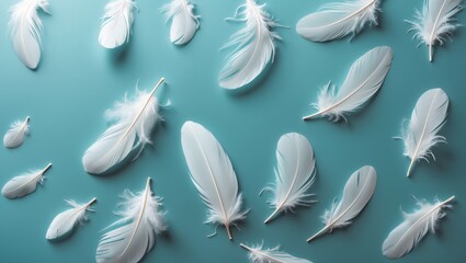 Obraz premium Flat lay of white feathers on a background