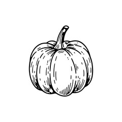 Hand-drawn sketch of a pumpkin