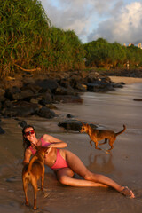 Enjoying Playful Moments and Adventures on the Beach with Our Beloved Dogs and Pets