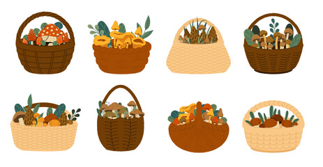 Mushrooms in basket. Autumn forest fungi with leaves in wicker basket, fall season woodland mushroom crop picking, picked fungus vegetarian food. Vector shrooms harvest set