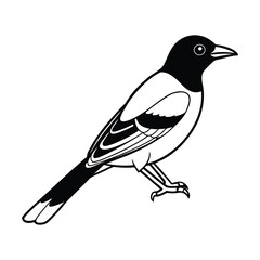 Obraz premium Simple line drawing of a black and white bird