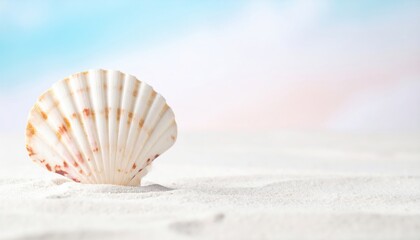 Captivating seashell discovery on serene beach nature photography calm environment close-up view