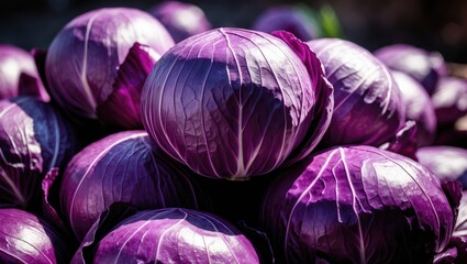 Obraz premium Close-up of red cabbage