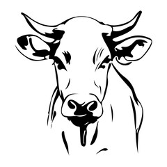 Half Body Cow In style of Realistic Outline Illustration For Farm Animal Design, Livestock Project, Butcher Shop Branding, Educational Materials
