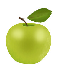 This image is a digital illustration of a green apple. 
