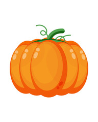 This image is a digital illustration of a pumpkin. 
