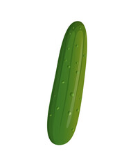 This image is a digital illustration of a cucumber. 
