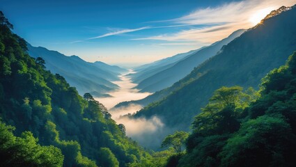 awe-inspiring photo of the forested peaks