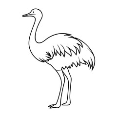 Rhea Bird Outline Silhouette – Wild Animal Vector on a transparent background
