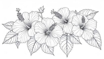 Naklejka premium A detailed sketch of hibiscus flowers surrounded by leaves, showcasing the intricate patterns and textures of the petals and foliage