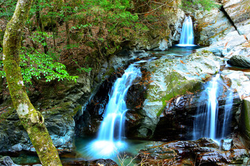 金山の滝　白倉峡　静岡県浜松市

