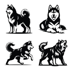 Different siberian husky dog set bundle vector illustration isolated on white background
