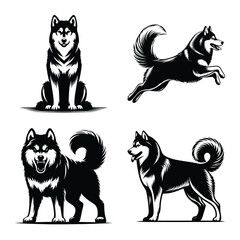 Different siberian husky dog set bundle vector illustration isolated on white background