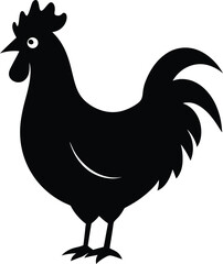 rooster isolated on white