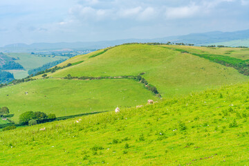 Obraz premium Rural Pembrokshire in Wales