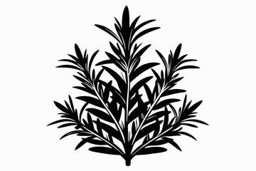 rosemary silhouette line art vector illustration with a white background