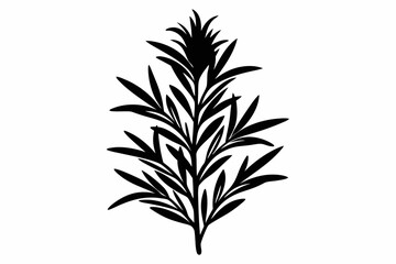 rosemary silhouette line art vector illustration with a white background