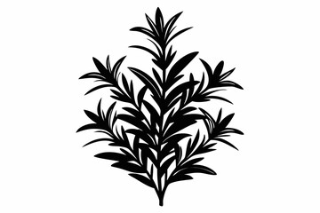 rosemary silhouette line art vector illustration with a white background
