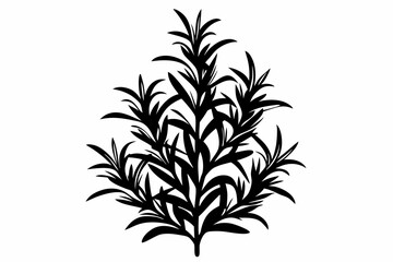 rosemary silhouette line art vector illustration with a white background