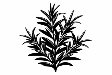 rosemary silhouette line art vector illustration with a white background